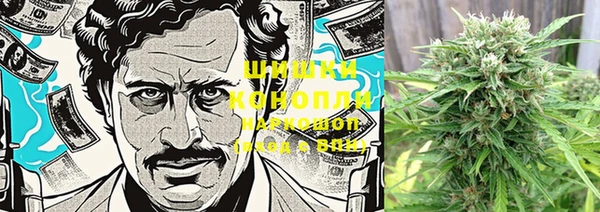 ГАЛЛЮЦИНОГЕННЫЕ ГРИБЫ Баксан