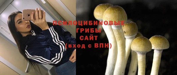 ГАЛЛЮЦИНОГЕННЫЕ ГРИБЫ Баксан