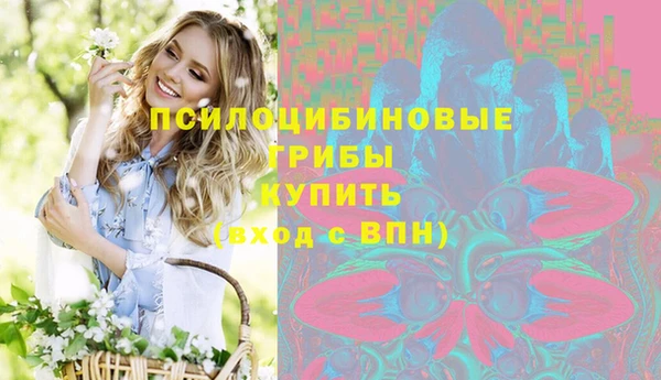 ГАЛЛЮЦИНОГЕННЫЕ ГРИБЫ Баксан