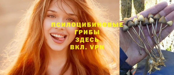 ГАЛЛЮЦИНОГЕННЫЕ ГРИБЫ Баксан