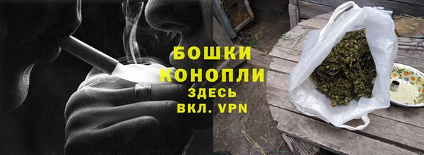 ГАЛЛЮЦИНОГЕННЫЕ ГРИБЫ Баксан