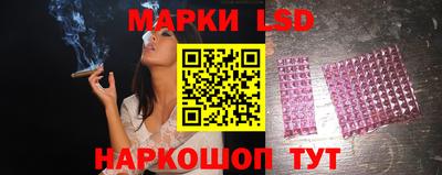спиды Обь