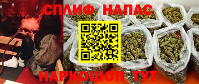 спиды Обь