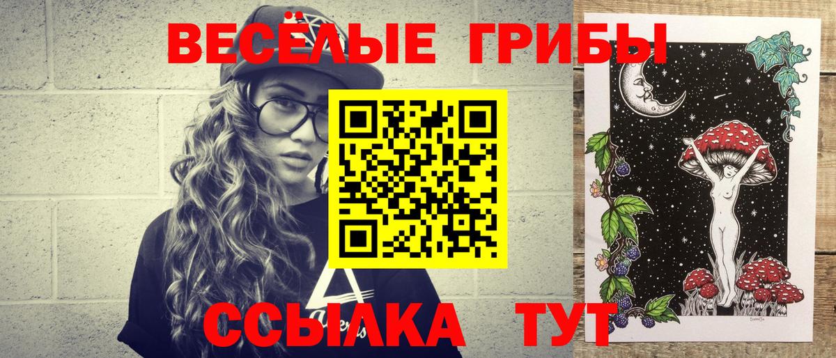 Псилоцибиновые грибы прущие грибы Черняховск